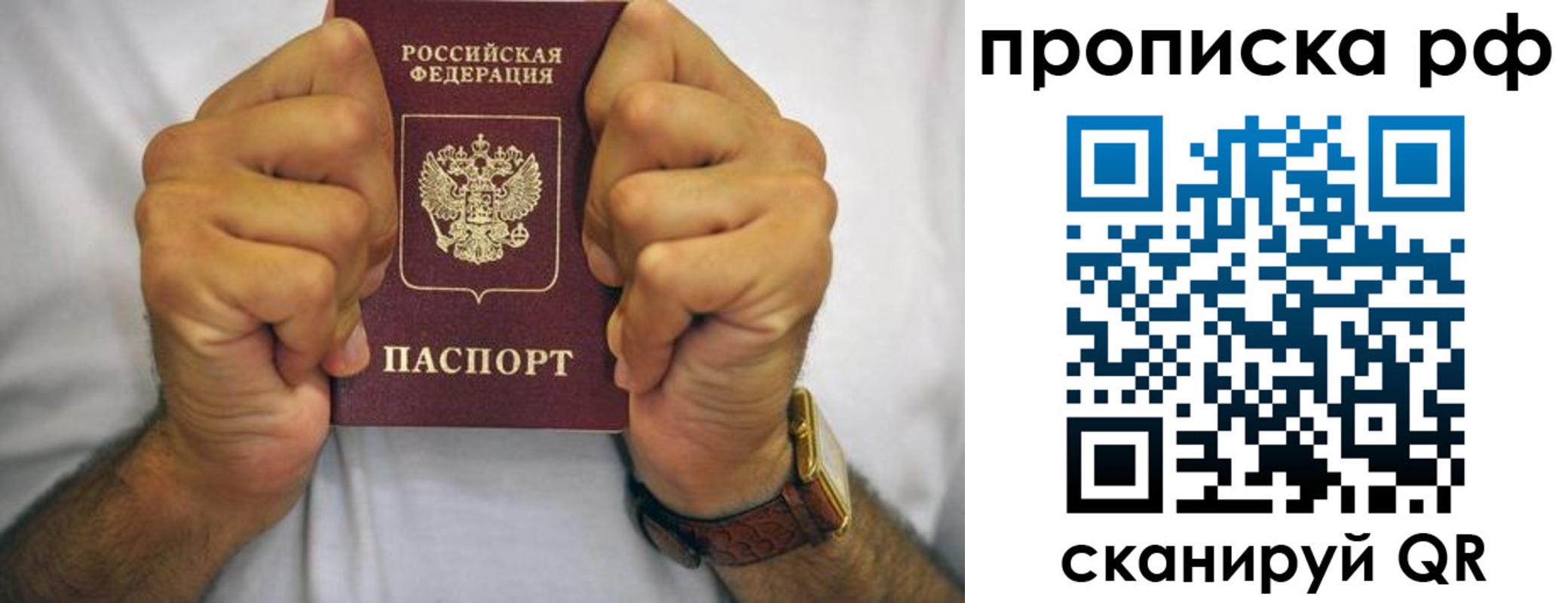 прописка регистрация в Видном